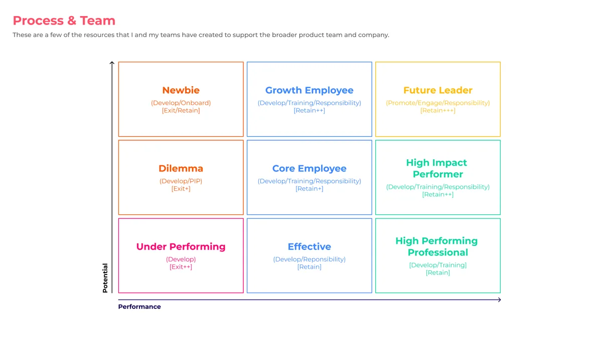 A nine-box performance versus potential talent-review grid with labeled quadrants like Future Leader and Core Employee.